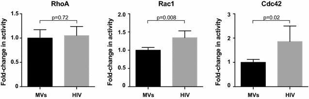 Fig. 7