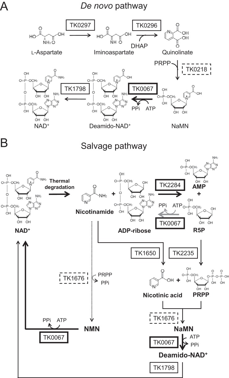 FIG 7