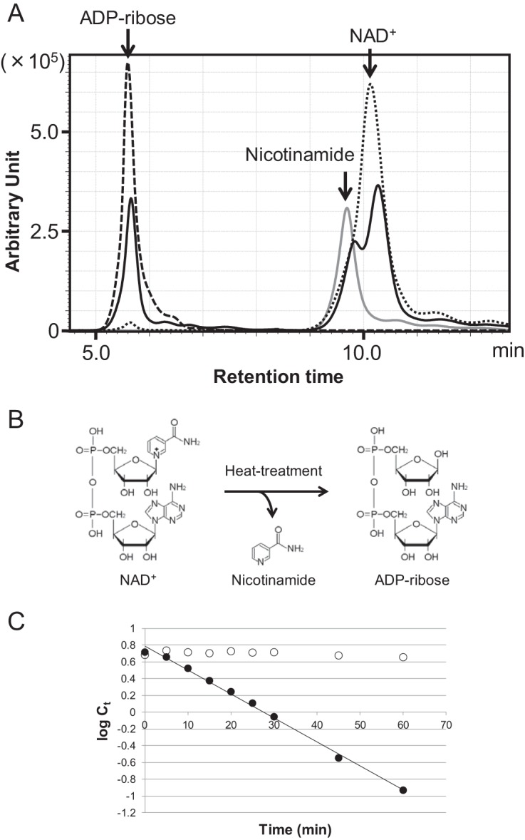 FIG 1