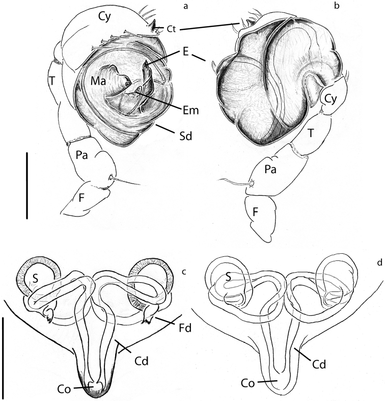 Figure 12.