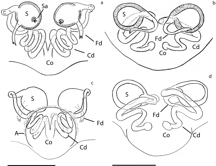 Figure 15.