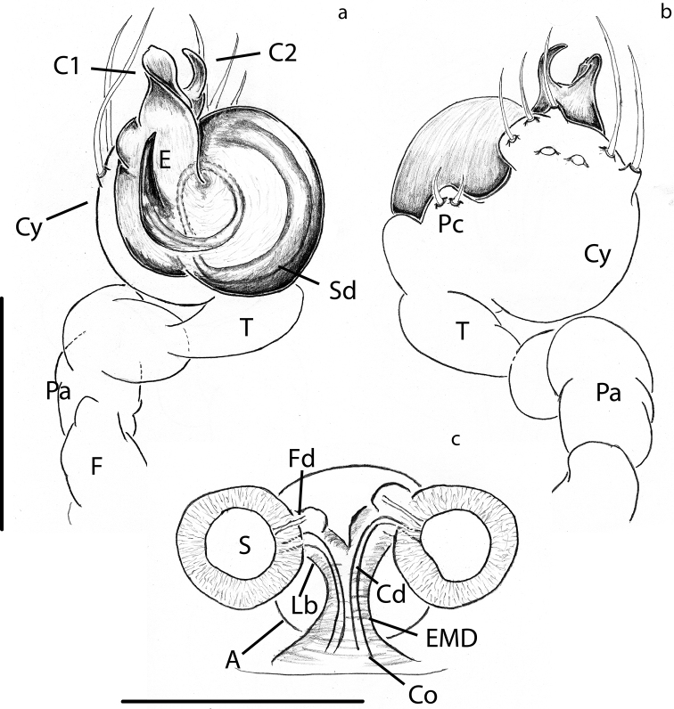 Figure 9.