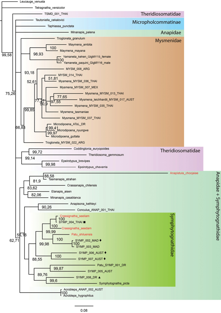 Figure 3.