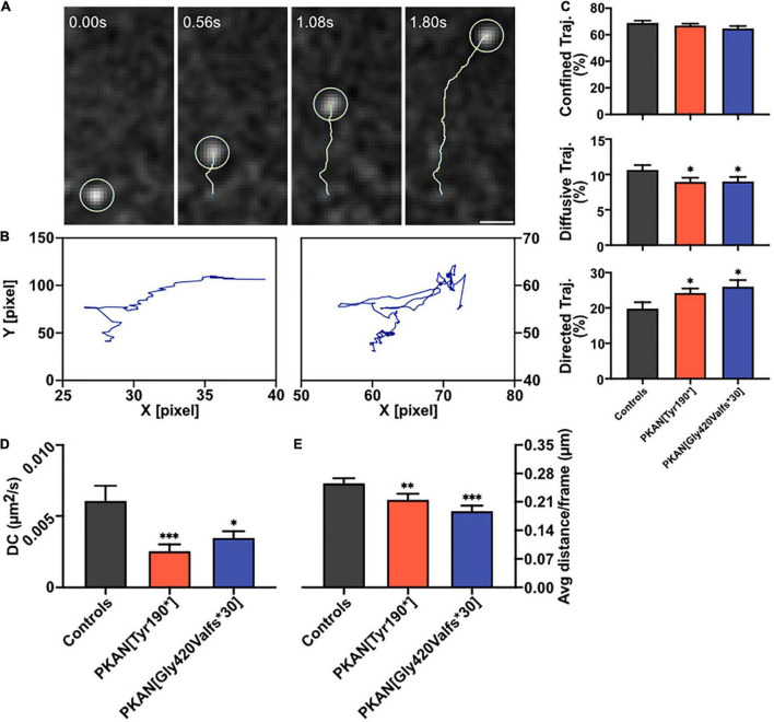 FIGURE 3