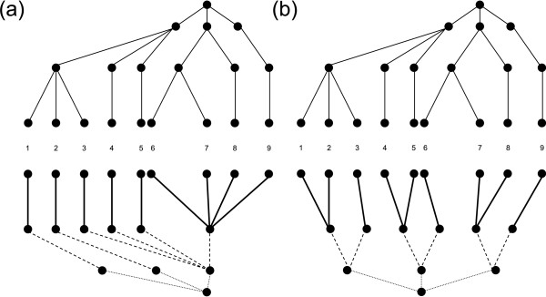 Figure 9