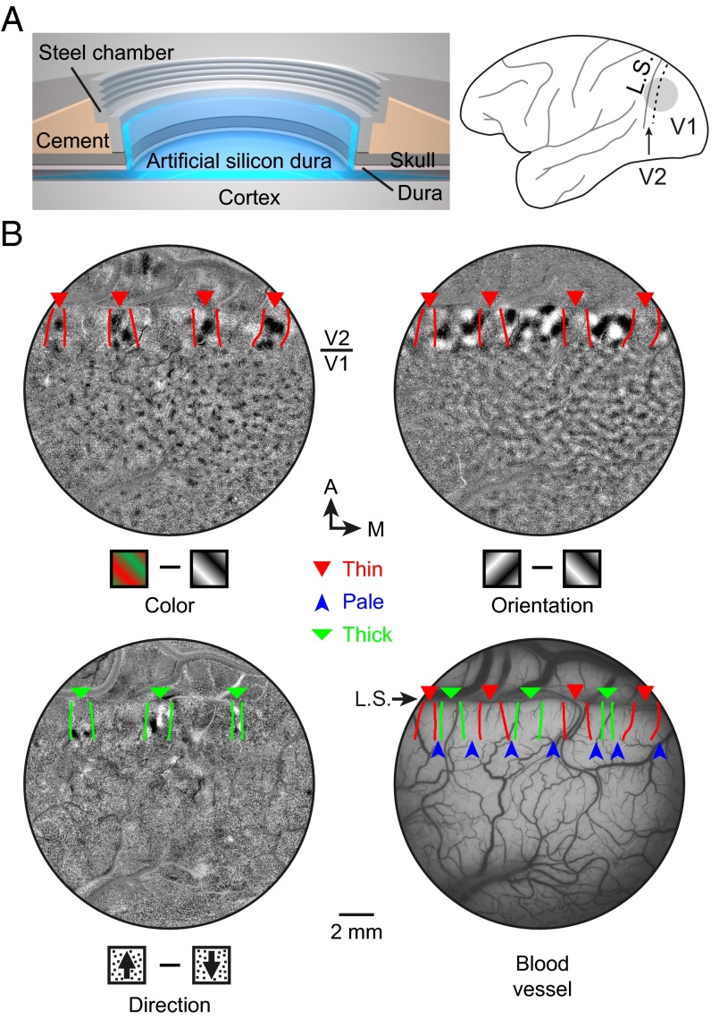 Fig. 3.