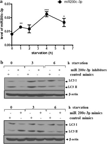 Fig. 6