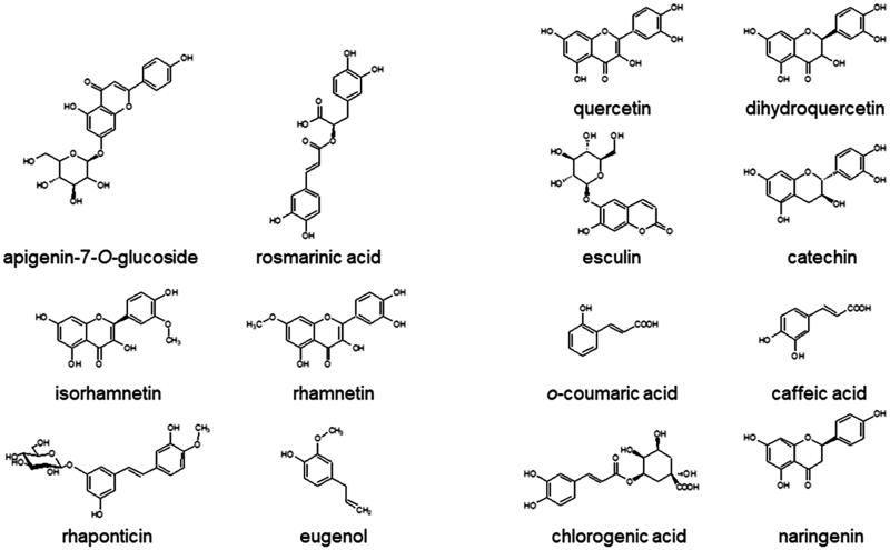 Figure 1.