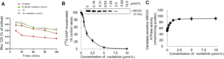 Figure 4