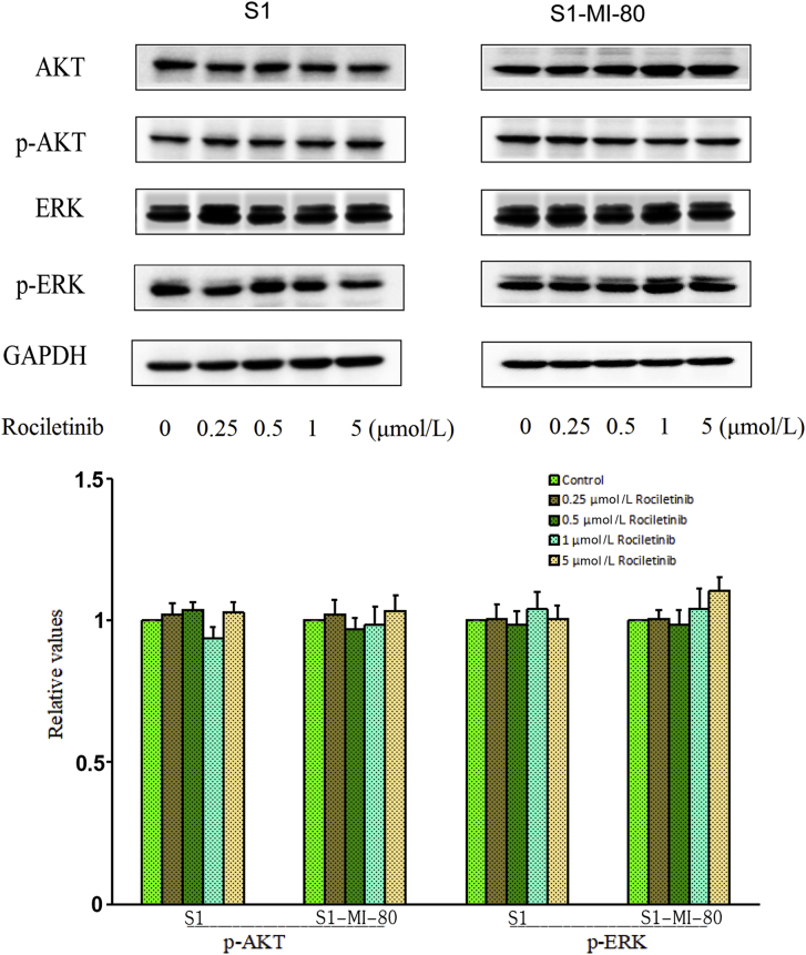 Figure 6