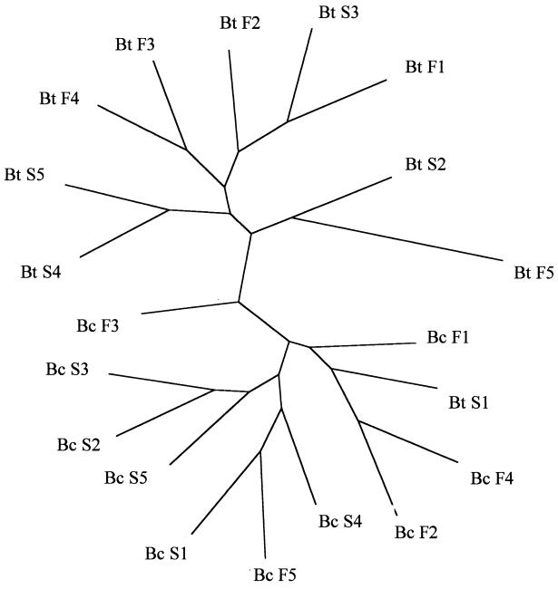 FIG. 3.