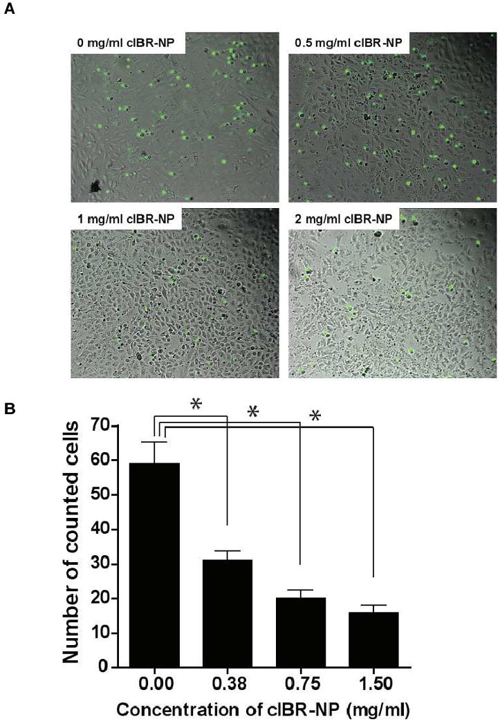 Fig. 9