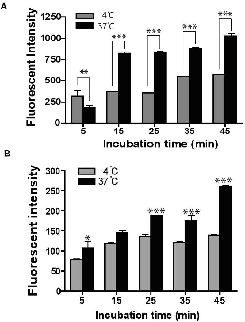 Fig.6