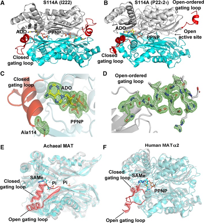 Figure 4