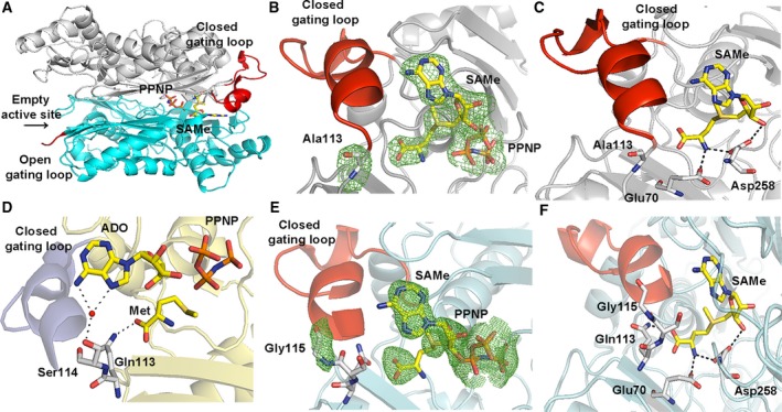 Figure 5