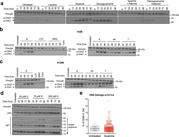 Extended Data Fig. 5