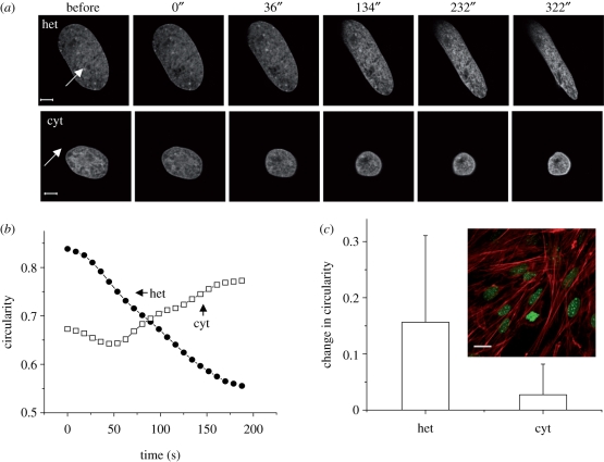 Figure 3.