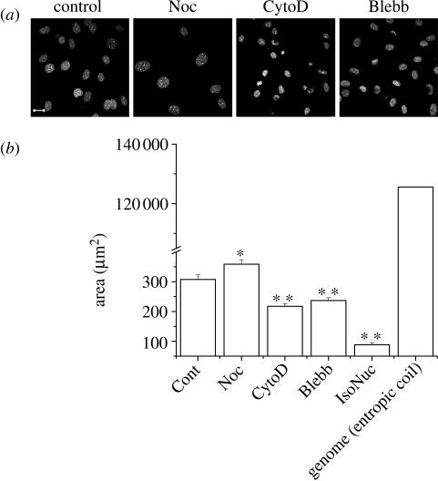 Figure 1.