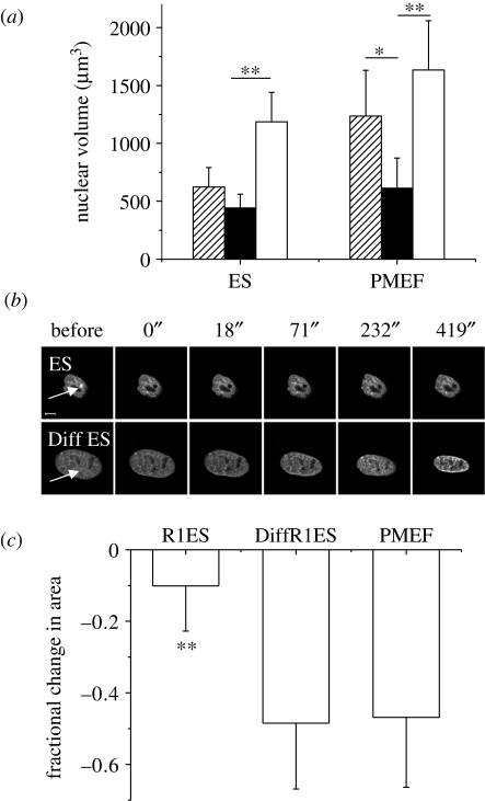 Figure 5.