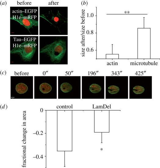 Figure 4.