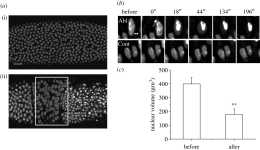 Figure 6.