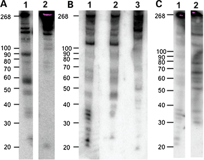 Figure 3.