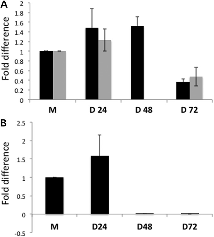 Figure 5.