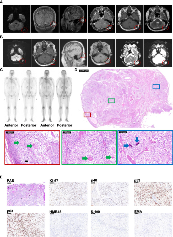 Figure 2