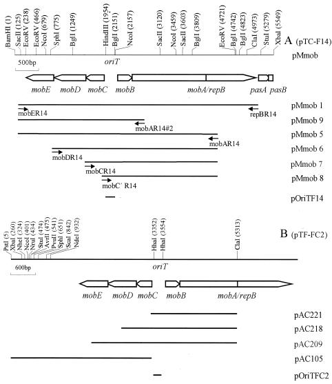 FIG. 1.