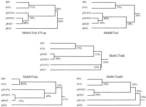 FIG. 2.