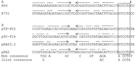 FIG. 3.