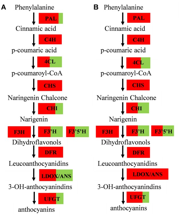 Fig 4