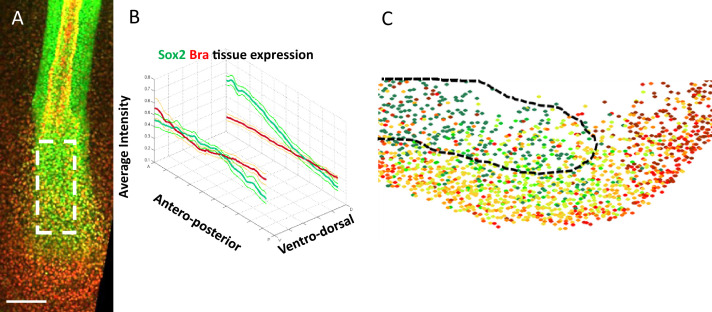 Figure 1—figure supplement 3.