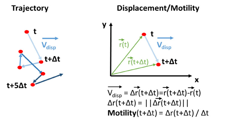 Appendix 1—figure 1.