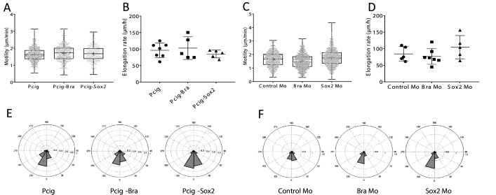 Figure 4—figure supplement 1.