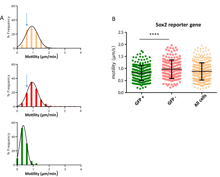 Figure 3—figure supplement 1.