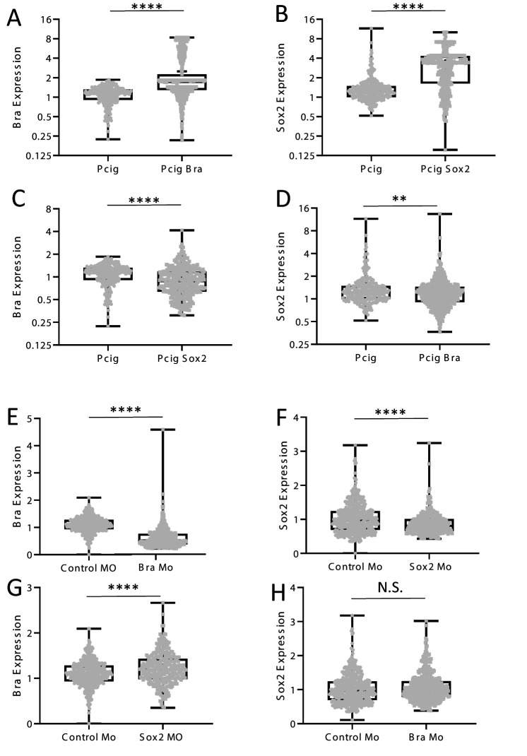 Figure 2—figure supplement 2.