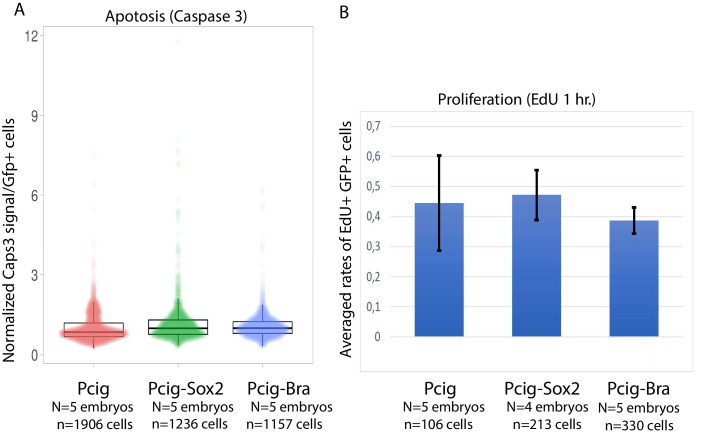 Figure 2—figure supplement 3.