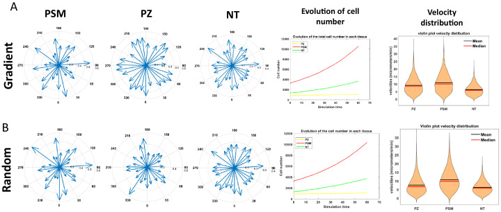 Figure 6—figure supplement 1.