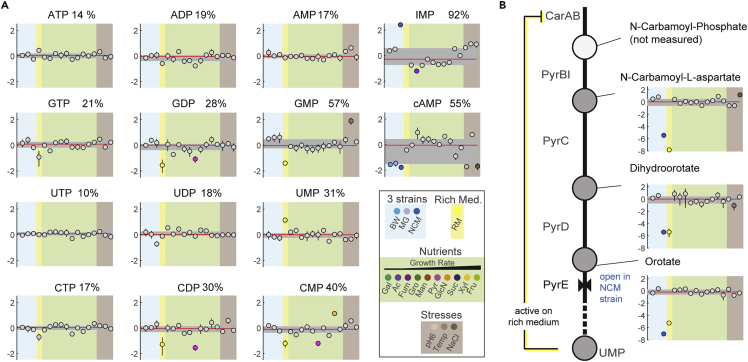 Figure 3