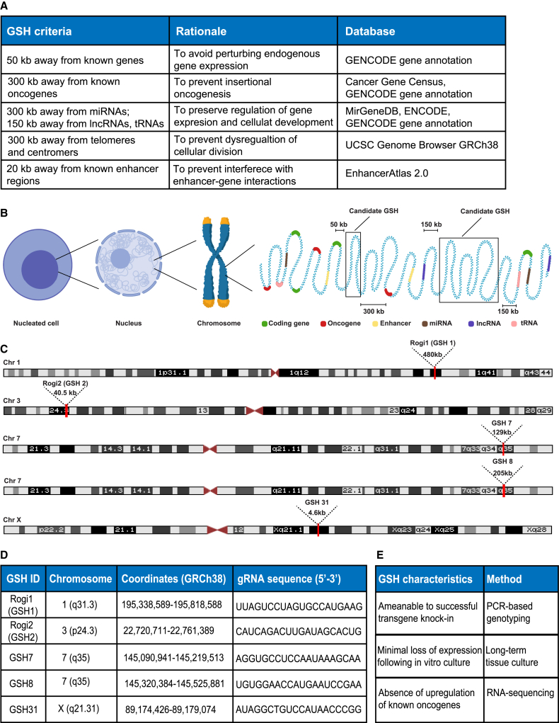 Figure 1