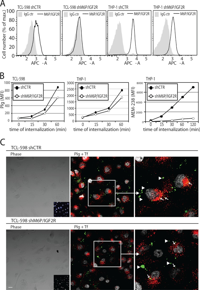 FIGURE 6.