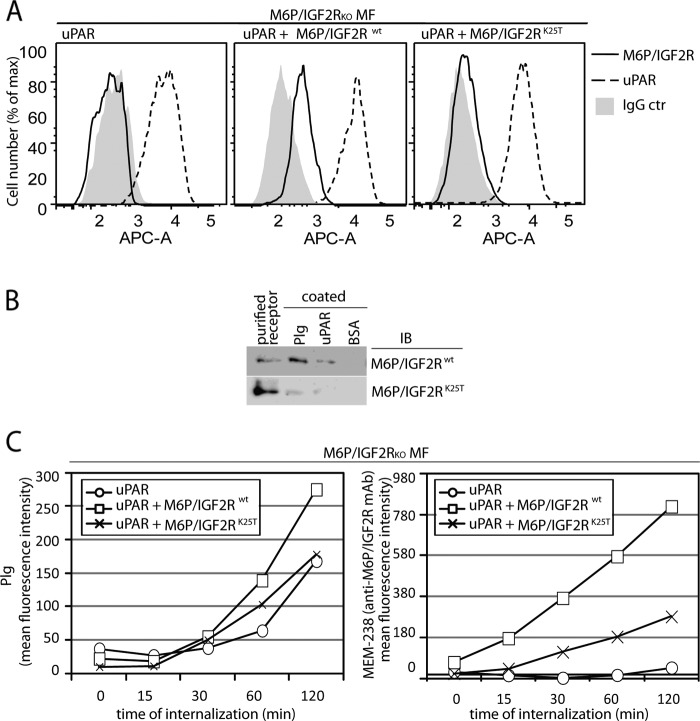 FIGURE 5.