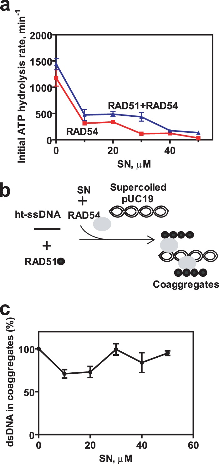 FIGURE 10.