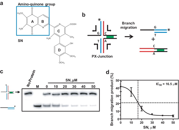 FIGURE 1.