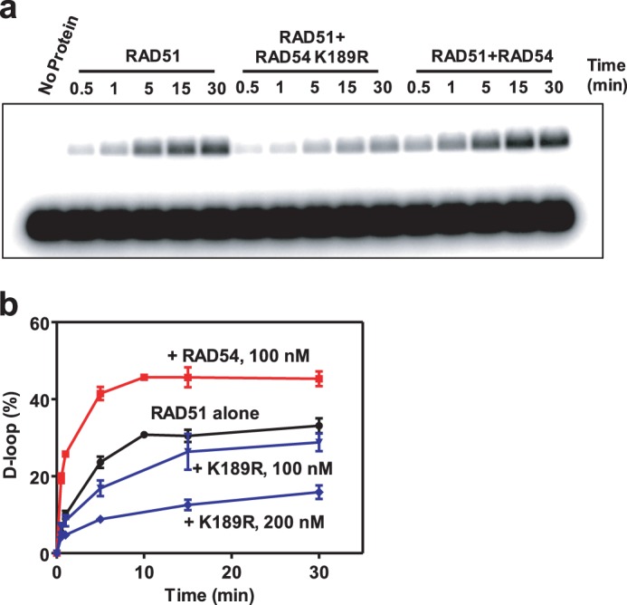 FIGURE 12.