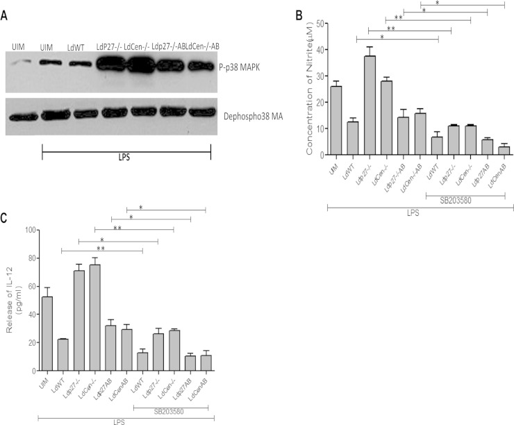 FIG 4