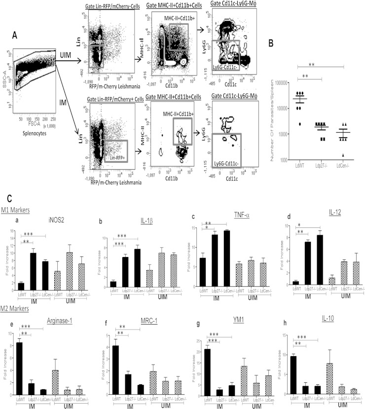 FIG 7