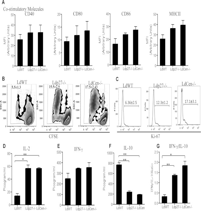 FIG 6