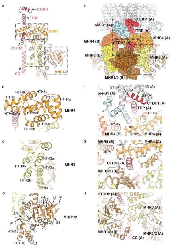 Fig. 3